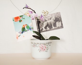 Pink Chrysanthemum Planter Pot / Cache Pot