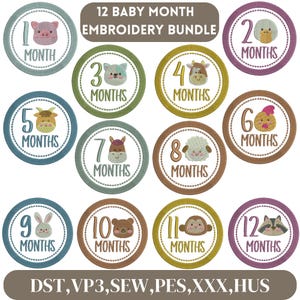 May include: Twelve embroidered baby month circles with different animal designs. Each circle has a number from 1 to 12 and the word "months". The circles are in various colors, including blue, green, brown, and purple.
