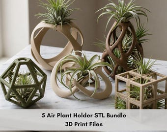 5 Air Plant Holder STL Bundle | Tillandsia Planter 3D Print Files | Minimal Modern Desk Decor | No Soil Plant Stand Set | Commercial License