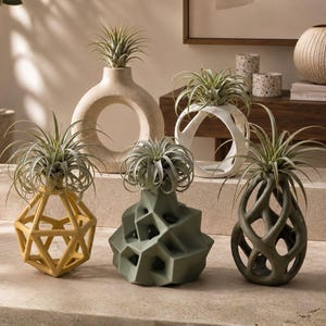 Può includere: Una collezione di cinque vasi decorativi in ceramica di varie forme geometriche e colori, tra cui giallo, verde salvia, oliva scuro e bianco sporco, ognuno contenente una pianta aerea verde. I vasi presentano design traforati e circolari.
