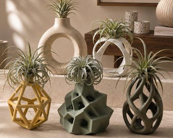 10 Air Plant Holder STL Bundle | Tillandsia Planter 3D Print Files | Modern Desk Decor | No Soil Plant Stand Set | Commercial License
