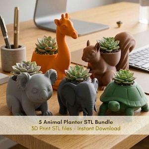 Paquete de archivos STL de macetas con forma de animales: ardilla, elefante, jirafa, tortuga, koala; soporte para suculentas; decoración infantil adorable; descarga instantánea.