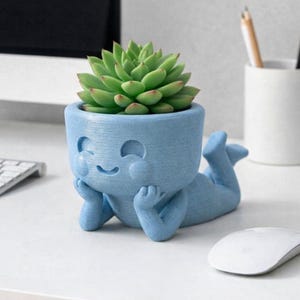 Urocza uśmiechnięta doniczka na sukulenty (STL), doniczka z motywem twarzy Kawaii, uchwyt na rośliny do druku 3D, zabawna dekoracja biurka, pomysł na prezent, plik do doniczki do druku