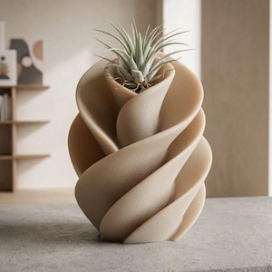 Elegant Air Plant Holder STL Minimal | Tillandsia Holder 3D Print | Modern Desk Decor Planter | No Soil Planter STL File