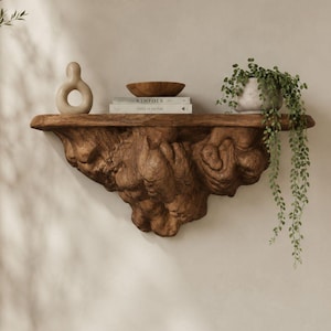 Wandregal aus Baumstamm-Design (STL-Datei) – Organisches, schwebendes Regal für CNC-Fräse und 3D-Druck – Biomorphes Wohnaccessoire (digitale Datei)