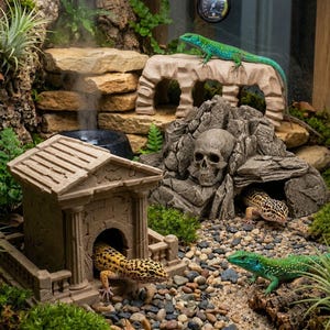 May include: A reptile terrarium habitat featuring a miniature stone temple, a rock formation with an integrated skull, and a stone bridge. Two leopard geckos with spotted patterns and two bright green lizards are positioned among pebbles and moss.