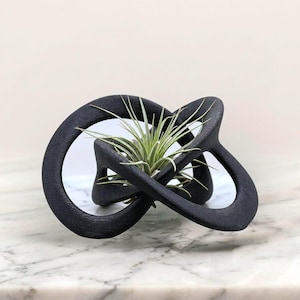 Air Plant Holder STL Minimal | Tillandsia Holder 3D Print | Modern Desk Decor Planter | No Soil Planter STL File