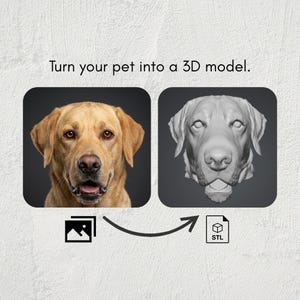 May include: Image featuring a yellow Labrador Retriever and a 3D model of its head. The text states, "Turn your pet into a 3D model." An arrow links a photo icon to an STL file icon, suggesting a conversion process.