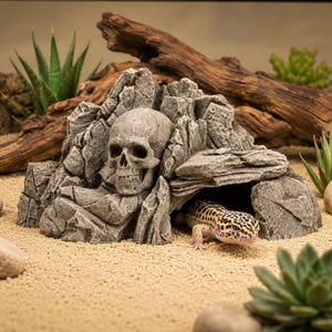 May include: A gray, rock-textured reptile hideout featuring an integrated human skull sculpture. A spotted yellow and black leopard gecko is emerging from the dark cave opening at the base of the rocky structure, which is set on a sandy surface.