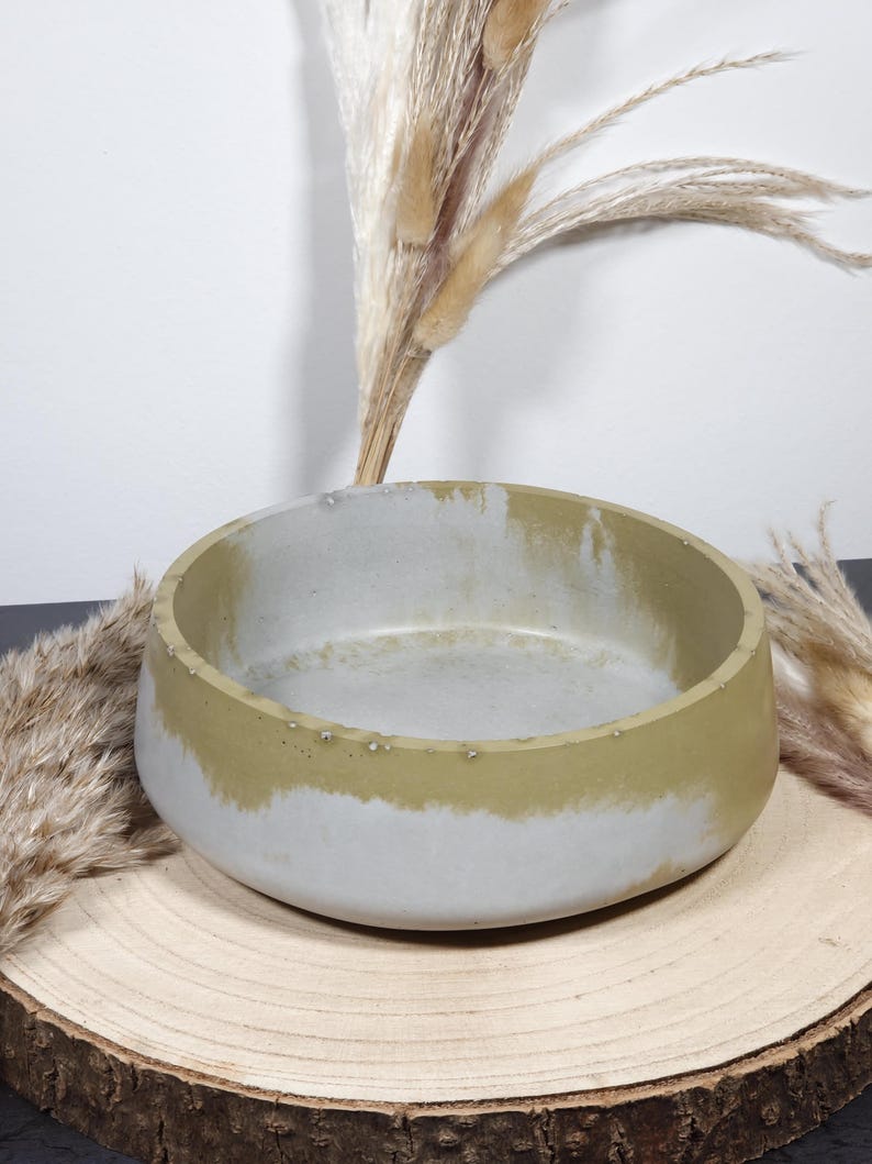 May include: A round, gray concrete bowl with a band of olive green paint around the rim. The bowl sits on a wooden slice, with dried ornamental grass in the background.
