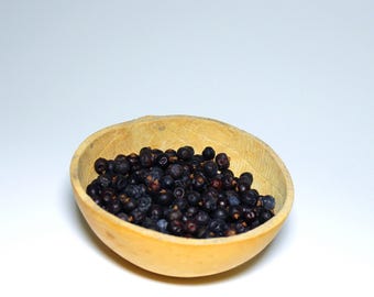 Juniper Berries-Juniperus Communis-Wildcrafted