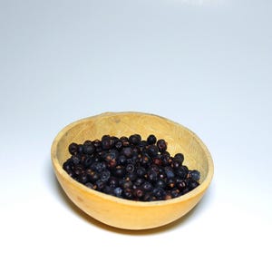 Juniper Berries-Juniperus Communis-Wildcrafted