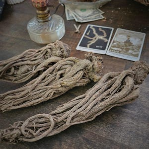 Master Root