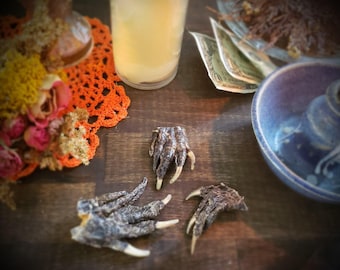 Alligator Feet