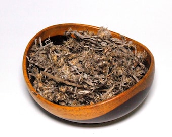 Life Everlasting-Sweet Everlasting-Pseudognaphalium Obtusifolium-Wildcrafted