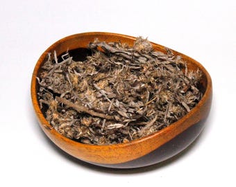 Life Everlasting-Sweet Everlasting-Pseudognaphalium Obtusifolium-Wildcrafted