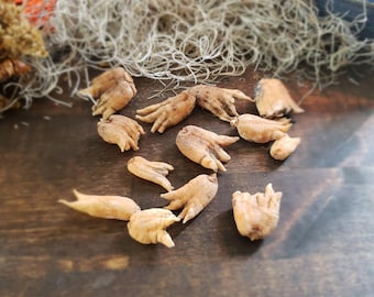 Lucky Hand Root
