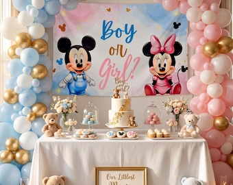 Custom Mickey Minnie Mouse Gender Reveal Polyester Tapestry Backdrop, Personalised Baby Name Banner, 60*40 90*60 Blue Pink Banner