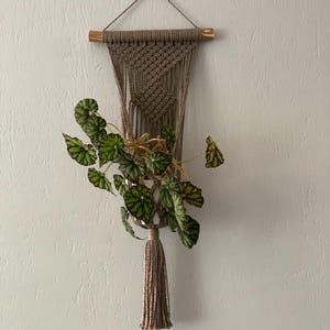 Makramee Pflanzenhänger mit Holzregal - Boho Hängeampel, Zimmerpflanzenhalter, Wandhängeregal, Boho Wohndekor