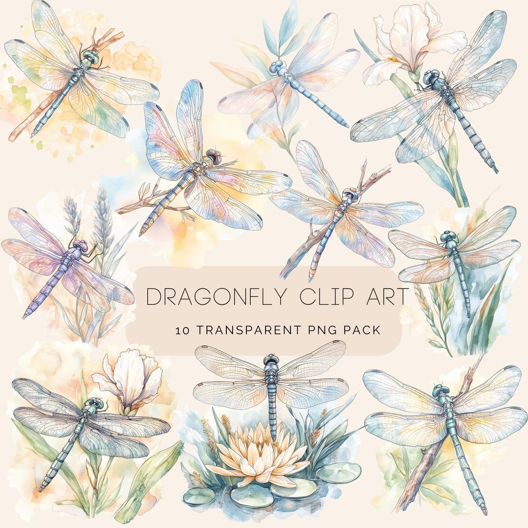 Watercolor Dragonfly PNG Clip Art, Insect Clipart, Floral Clipart ...