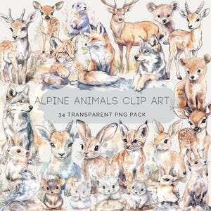 Clipart animaux alpins PNG, aquarelle animaux de montagne png, animaux de la forêt mignons, cerf, renard, loup, lièvre, chamois, musaraigne, marmotte, lagopède