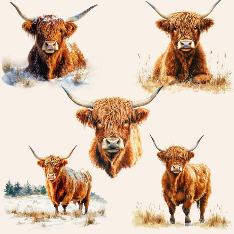 Watercolor Highland Cow Clipart Bundle, 15 PNG Cute Animals Graphics ...