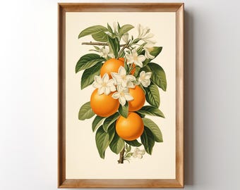 Botanical Oranges Art Print: Retro Fruit Wall Art, Vintage Kitchen Decor, Boho Orange Poster