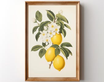 Lemon Print: Botanical Fruit Wall Art, Vintage Lemon Artwork, Retro Kitchen Decor