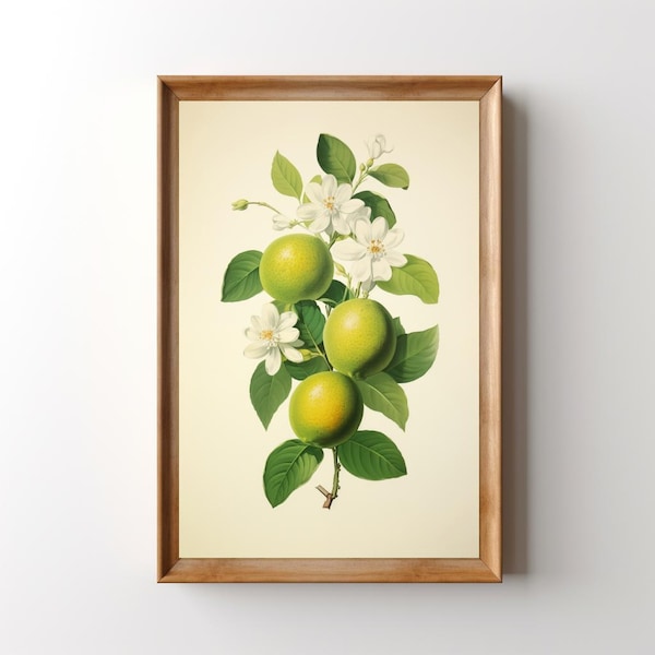 Retro Limes Print: Botanical Lime Wall Art, Vintage Fruit Kitchen Decor, Mediterranean Citrus Poster