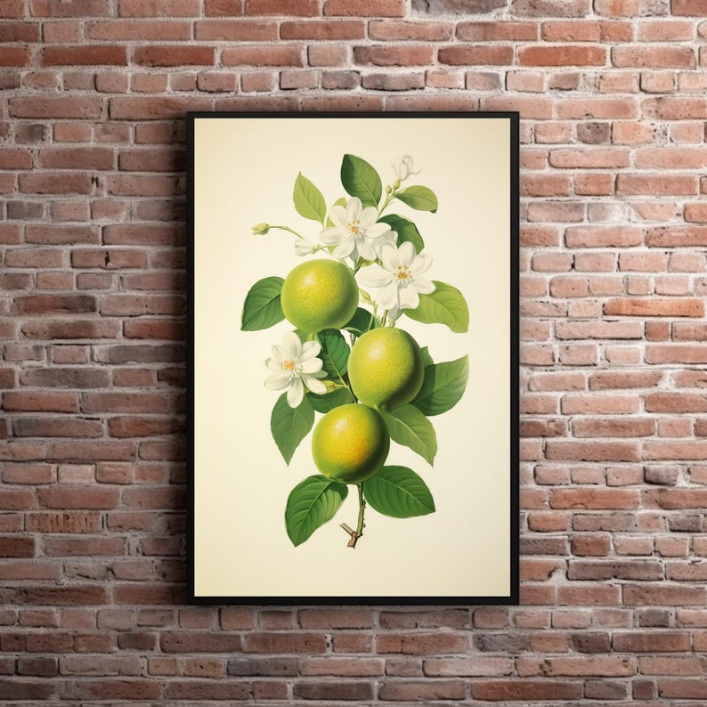 Retro Limes Print, Botanical Limes Wall Art Vintage Fruit Kitchen