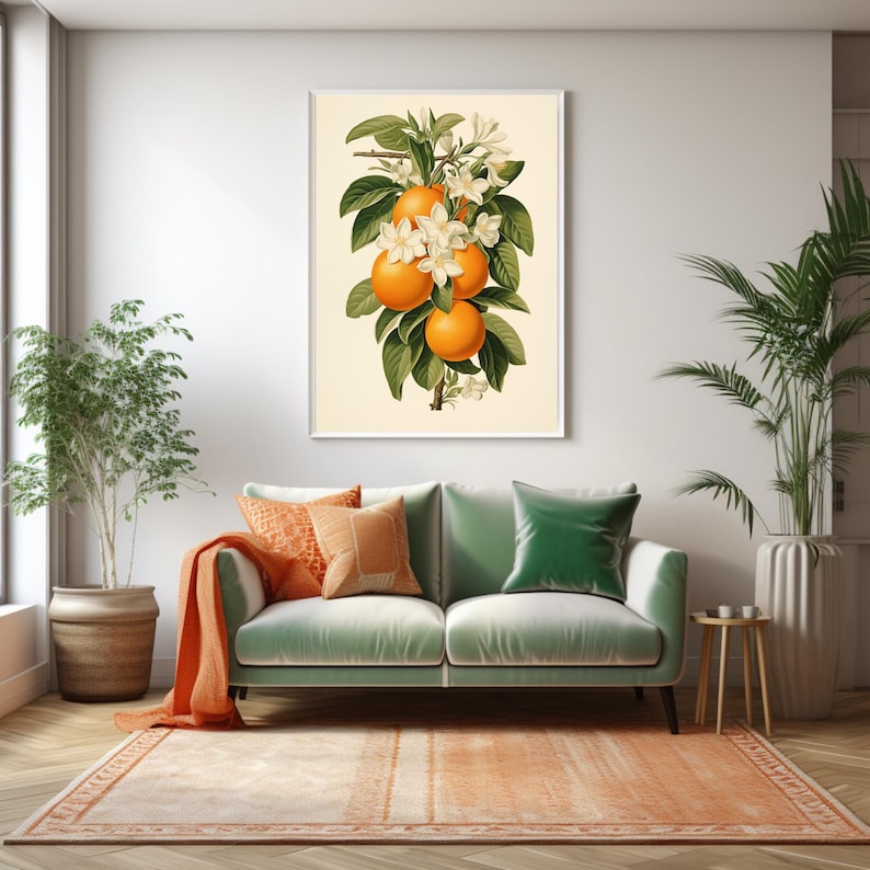 May include: A vintage botanical illustration of a branch of an orange tree with white blossoms and ripe orange fruit.