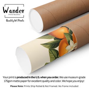 May include: A close-up of a rolled print of a botanical illustration of oranges and leaves. The print is being shipped in a brown cardboard tube. The text "Wander Printworks Quality Art Prints" is visible in the top left corner of the image.