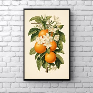 Floral Oranges Art Print, Botanical Oranges and Blossoms Wall Art, Retro Kitchen Decor Vintage Fruit Bar Art, Boho Cottagecore Citrus Print