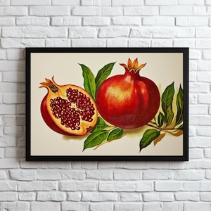 Pomegranate Art Print, Botanical Pomegranate Wall Art, Rustic Kitchen Decor Boho Fresh Fruit Poster Farmhouse Countryside Red Fruit Artwork