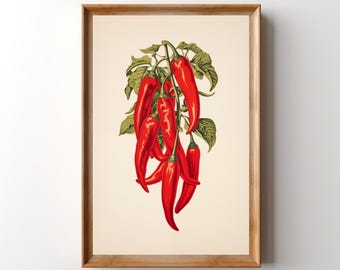 Chili Peppers Print: Retro Chilies Wall Art, Mexican Hot Pepper Poster, Southwest Kitchen Decor