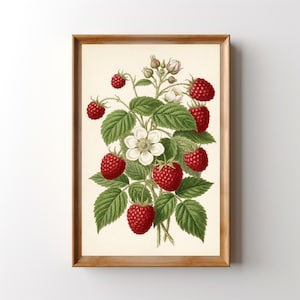 May include: A framed botanical print featuring a detailed illustration of raspberries. The image showcases ripe red berries, green leaves, and delicate white flowers. The artwork is set against a cream-colored background and framed in a light brown wooden frame.