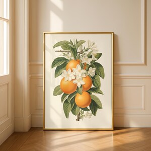 Botanical Oranges Art Print: Retro Fruit Wall Art, Vintage Kitchen Decor, Boho Orange Poster image 2