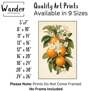 Botanical Oranges Art Print: Retro Fruit Wall Art, Vintage Kitchen Decor, Boho Orange Poster image 5