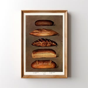 May include: A framed print featuring a vintage illustration of various bread types. The image showcases five different loaves, including a baguette, a braided loaf, and a round loaf, each with a unique shape and crust color. The print has a neutral background and a wooden frame.