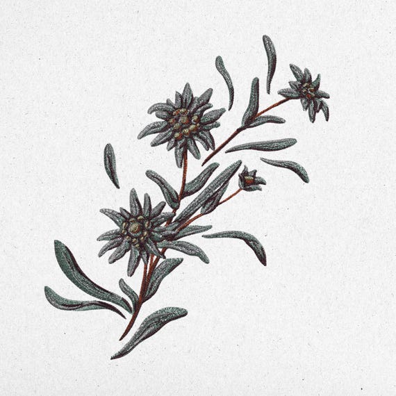Elegant Floral Embroidery Design – Wildflower Machine Embroidery Pattern | Digital Download | dst, pes, vp3, jef, exp, xxx