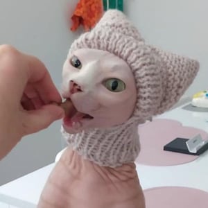 Handmade Hypoallergenic Knit Cat Hat: Sphynx & Devon Rex