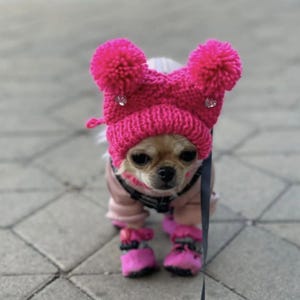 Pode incluir: Um pequeno chihuahua usando um chapéu de malha rosa com pompons e botinhas rosa combinando. O chapéu tem dois enfeites brilhantes.