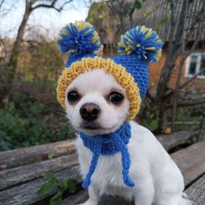 hats for dogs, dog hat, chihuahua hat, yorkie hat, dog pom poms hat, knitted clothes for dogs, two tone dogs hats, puppy hat, winter dog hat
