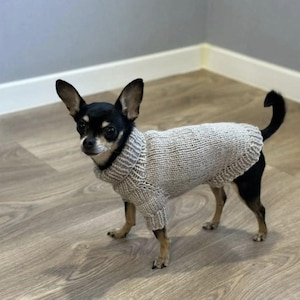 以下が含まれることがあります： 黒とタンの小さなチワワ犬が、タートルネックの襟が付いたライトグレーのニットセーターを着ています。犬は木の床に立っており、背景には灰色の壁があります。