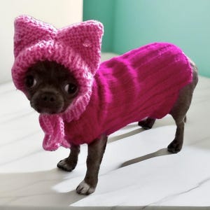 Handmade Knitted Dog Hat: Hypoallergenic Yarn, Rhinestone Buttons