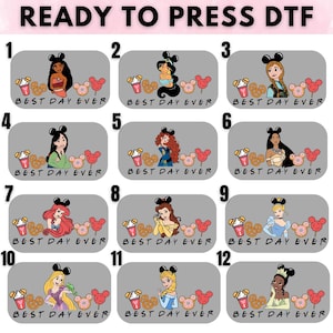 Princesses DTF Transfer, Disney Princesses Ready To Press, Princess Watercolor Heat Transfer, Disneyland Family Trip Birthday DTF,Disney Dtf