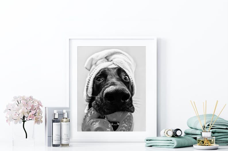 German Shepherd Towel on Head, Funny Pet Bathroom Art, Funny Dog Bath ...