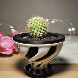 Può includere: Un piccolo cactus rotondo in una fioriera decorativa bianca e nera. La fioriera ha un design a spirale unico. Il cactus è verde con spine bianche. La fioriera è su una superficie di legno.