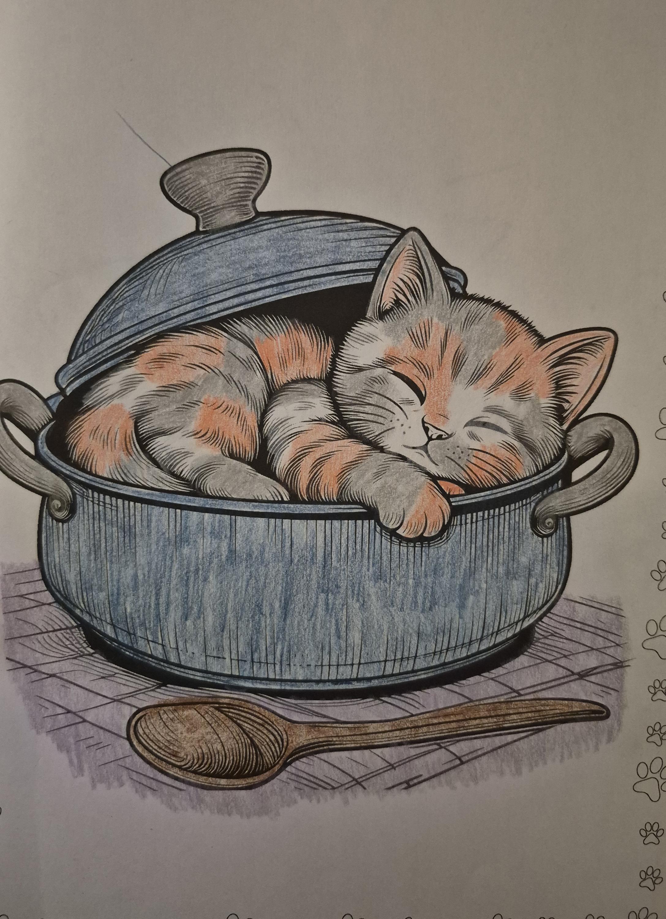 Kitten Bundle, 30 Pages Printable Cat Animal Coloring for Kids & Adults ...