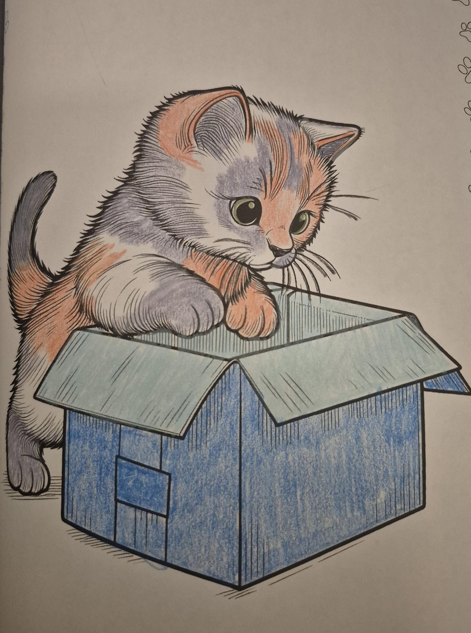 Kitten Bundle, 30 Pages Printable Cat Animal Coloring for Kids & Adults ...